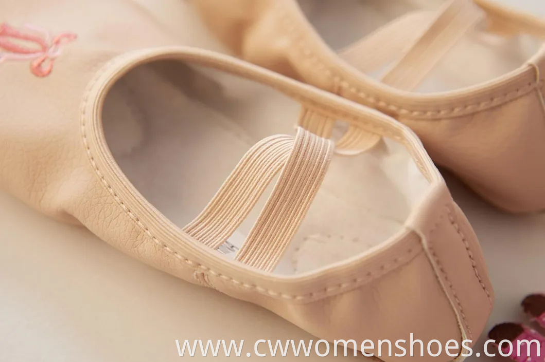 Stylish E5013 Canvas Split Sole Ballet Dance Shoes for Women